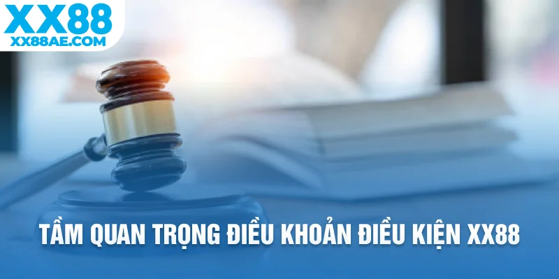 Tầm quan trọng điều khoản điều kiện XX88